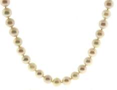 Gorgeous & Layerable 14kt WG White Pearl 6-6.5m Necklace