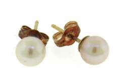 Simple 14kt Yellow Gold 5.5mm Pearl Stud Earrings