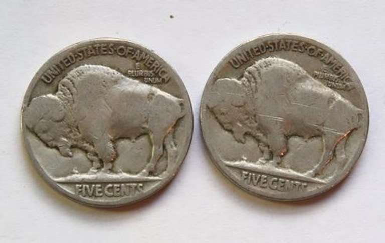 260 Unsearched Part Date Buffalo Head Nickels