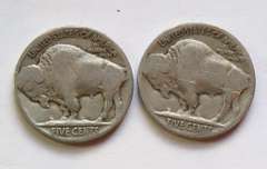 260 Unsearched Part Date Buffalo Head Nickels