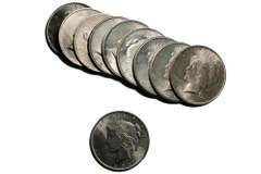 10 BU Assorted Frosty White Peace Dollars