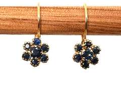 Useful 14k Sapphire Cluster Earrings