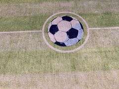 Modern kids Soccer Filed Design 5 x 8