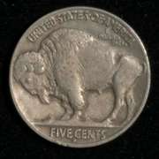 1914 D Sharp Full Horn Buffalo Nickel