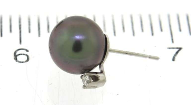 Elegant Black Pearl w RBC Diamond Accent Earrings