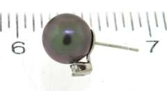 Elegant Black Pearl w RBC Diamond Accent Earrings