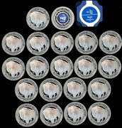 Tube with 20 NFC Chip Verified 1 oz. Pure Silver Rounds