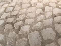 Contemporary Designer Area Rug 8x11