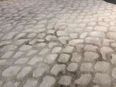 Contemporary Designer Area Rug 8x11