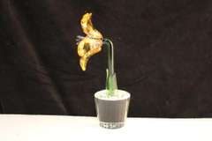 Amber Crystal Flower
