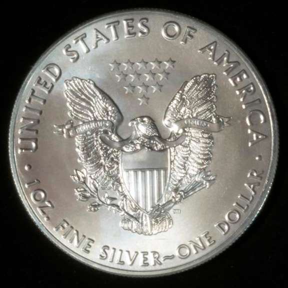 Frosty White Uncirculated 2016 Silver Eagle