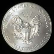 Frosty White Uncirculated 2015 Silver Eagle