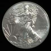 Frosty White Uncirculated 2015 Silver Eagle