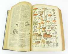 1926 French Petit LaRousse Illustrated Dictionary