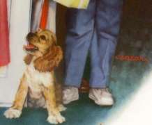 Collector's Fine China Plate