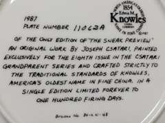 Collector's Fine China Plate