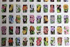 $213.73 Face Value US In Mint 29 Cent Mostly Sheets