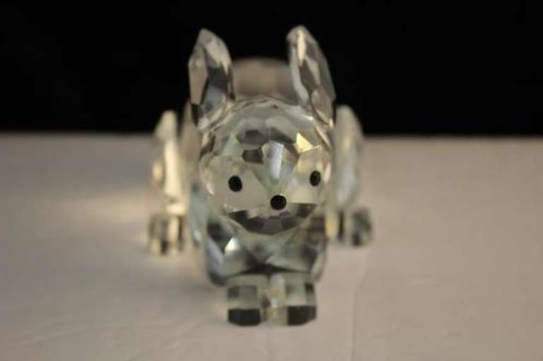Crystal Rabbit