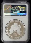 2018 Certified Proof Silver Eagle PF70 NGC