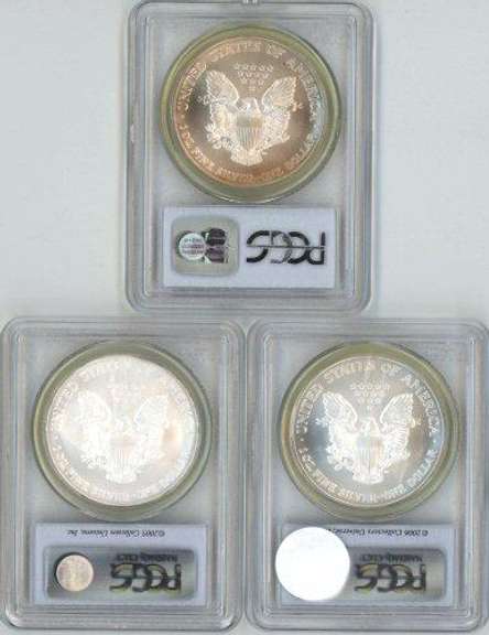 3 Diff. near perfect PCGS MS69 $1 Eagles 2004-2006