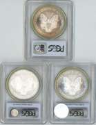 3 Diff. near perfect PCGS MS69 $1 Eagles 2004-2006