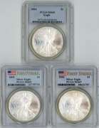 3 Diff. near perfect PCGS MS69 $1 Eagles 2004-2006