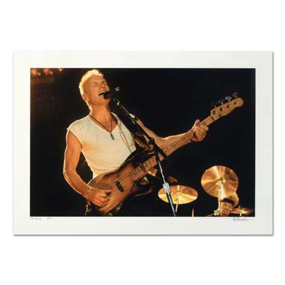 Sting by Rob Shanahan