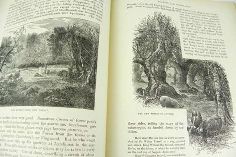 1890 England Illustrated with Pen & Pencil