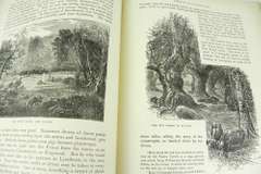 1890 England Illustrated with Pen & Pencil