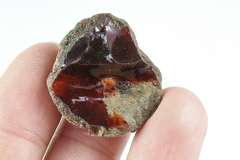 Collectors 30.40ct chocolate Opal in matrix