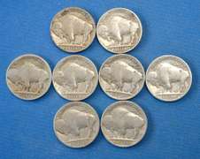 Estate Lot of Better Date 1920's Buffalo Nickels