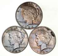 Lot (3) 1934-D Peace Silver Dollars - Beautiful Tone