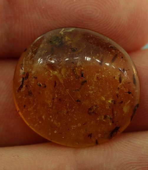 Large 6.02ct insect bearing Madagascar Amber