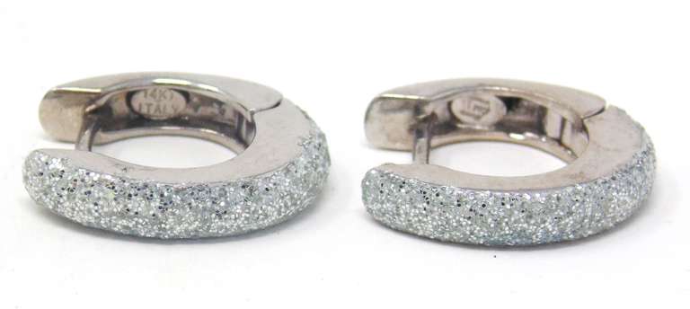 Great White Gold Glitter Hoop Earrings