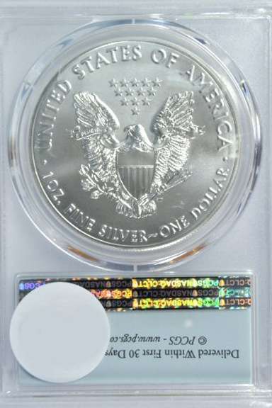Perfect 2019 First Strike $1 Silver Eagle. PCGS MS70