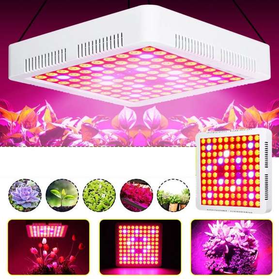 600W Full Spectrum LED Grow Light