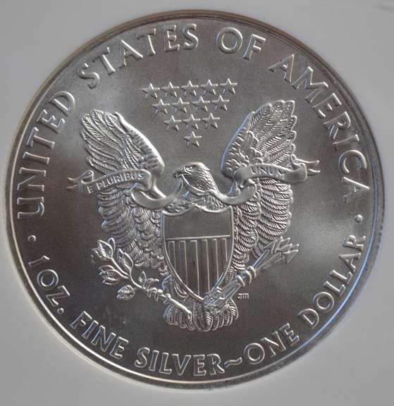 2010 NGC ER MS69 Silver Eagle