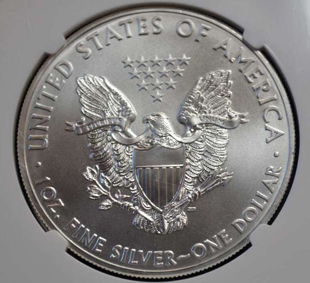 2013 NGC ER MS69 Silver Eagle