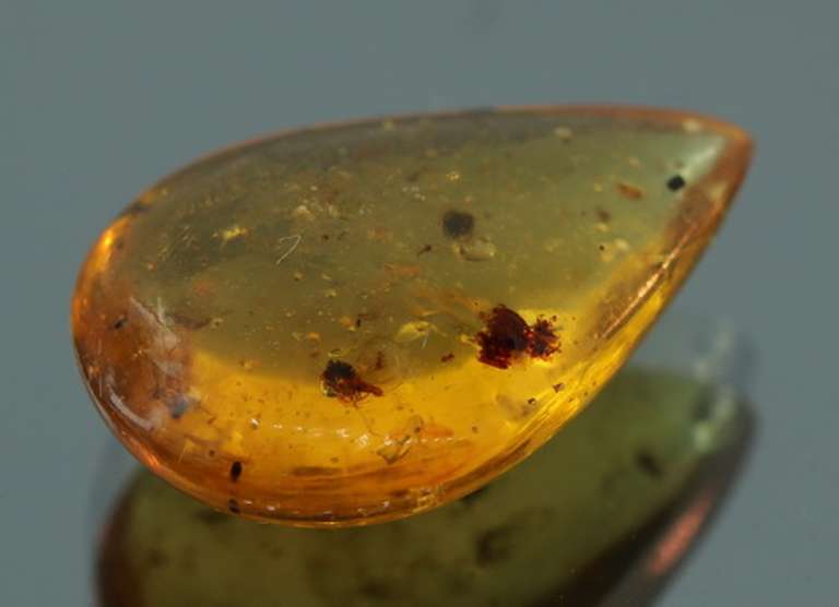 Large 6.59ct insect bearing Madagascar Amber
