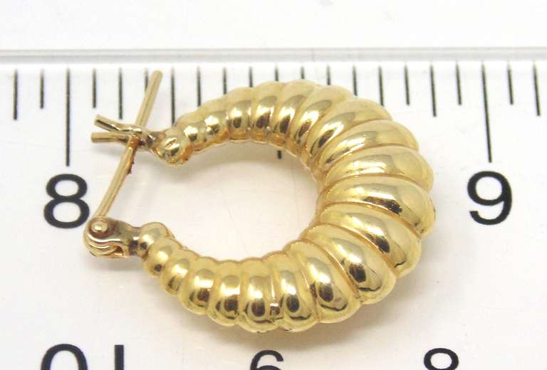 Simple Yellow Gold Shrimp Hoop Earrings