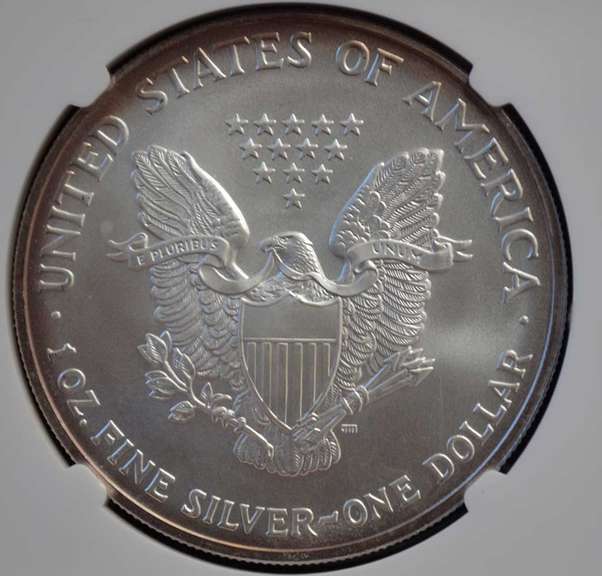 2004 NGC MS69 Silver Eagle