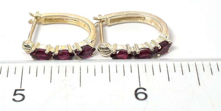 Sterling Silver Garnet Earrings