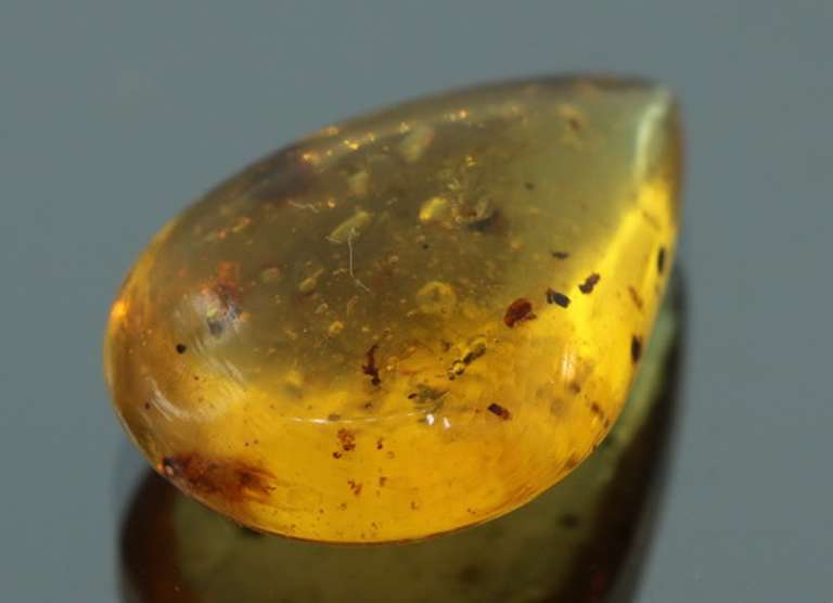 Large 6.59ct insect bearing Madagascar Amber
