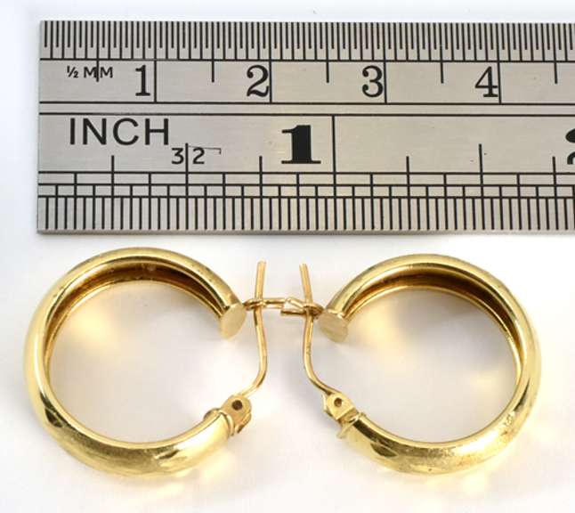 Penny Sized Wide Hoop Earrings