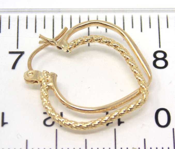 Beautiful Interlocking Earrings