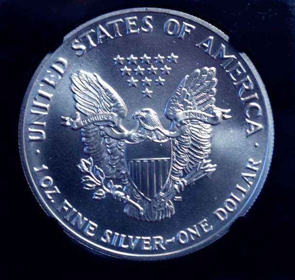 1989 NGC MS69 Silver Eagle