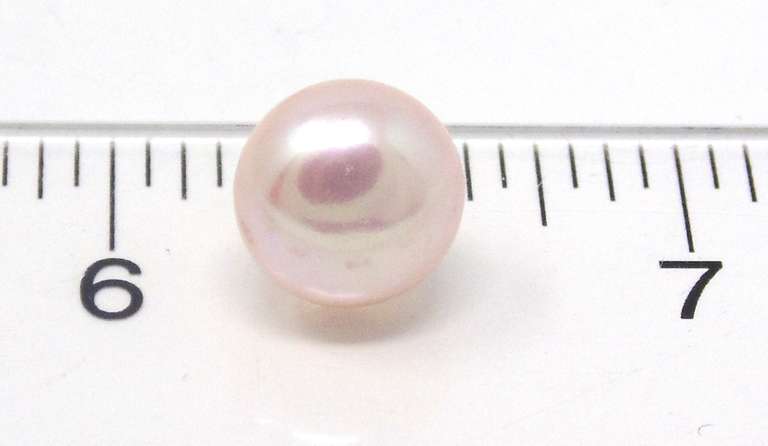 Popular 10mm Pearl Yellow Gold Earrings