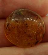 Large 6.02ct insect bearing Madagascar Amber