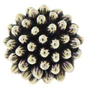 Group Lot of 3 Sterling Silver Rings