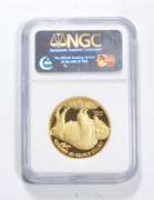 PF70 UCAM 2008-W $50 American Buffalo 1 Oz .999 Fine Gold Coin - NGC